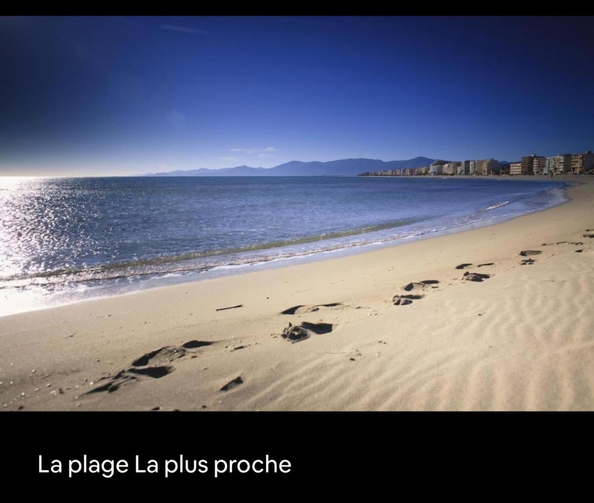 Appartement Cosy Le Phoebus Canet-en-Roussillon Kültér fotó