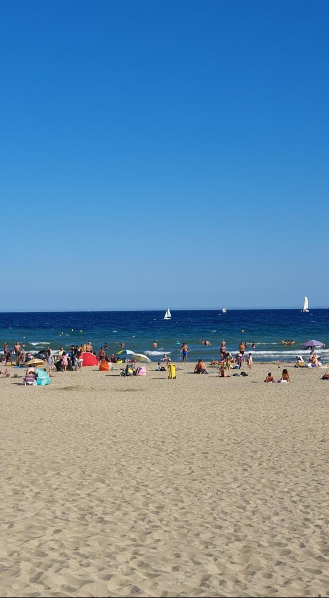Appartement Cosy Le Phoebus Canet-en-Roussillon Kültér fotó